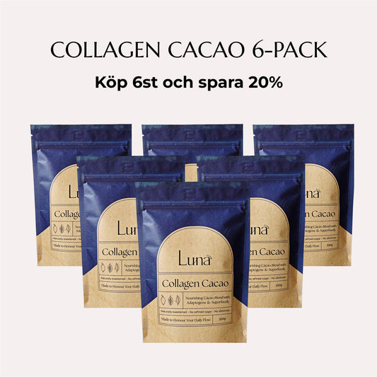 Collagen Cacao 6-pack